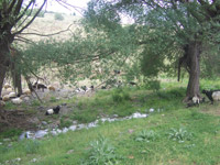 Köy Resimleri