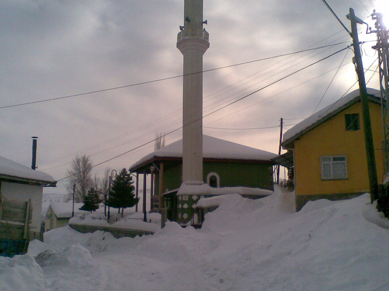 8. Şenlik